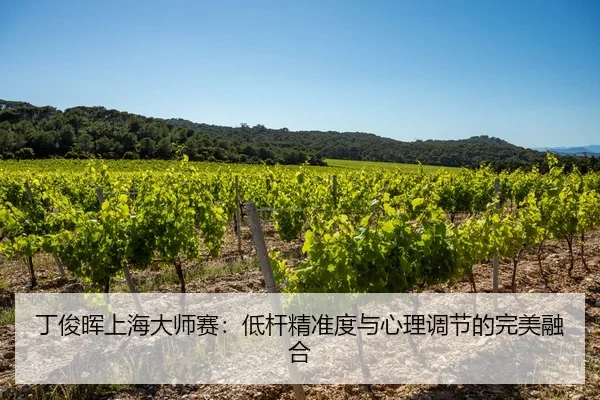 丁俊晖上海大师赛：低杆精准度与心理调节的完美融合