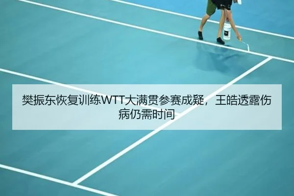 樊振东恢复训练WTT大满贯参赛成疑，王皓透露伤病仍需时间