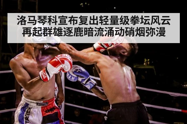 boxer training gloves